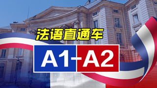 法语vip直通车课程
