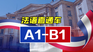 法语vip直通车课程